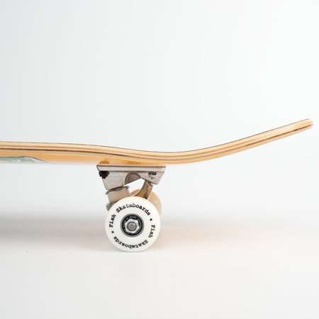 Deskorolka kompletna Fish Skateboards Beginner 8.0" Mason