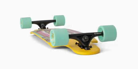 LANDYACHTZ Drop Cat 33 Illuminacion