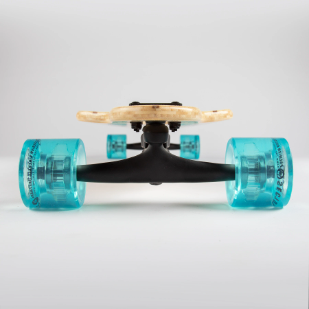 Sector 9 FRACTAL FLORA